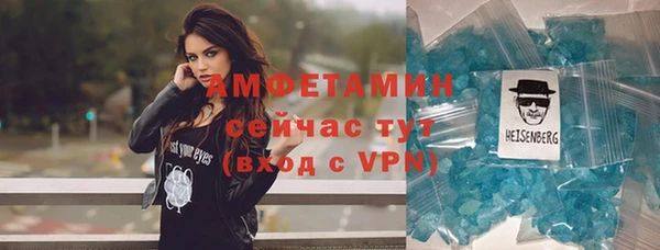прущие грибы Новодвинск