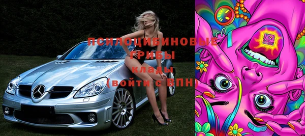 прущие грибы Новодвинск