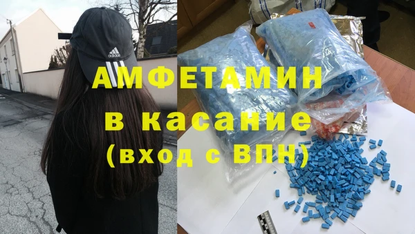 прущие грибы Новодвинск