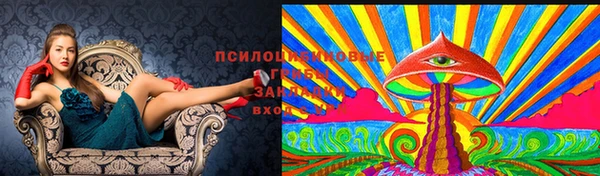 спайс Нефтекумск