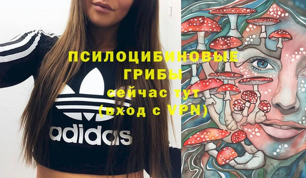спайс Нефтекумск