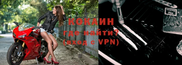 прущие грибы Новодвинск